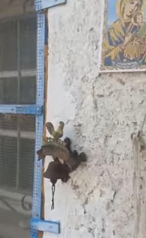 Casa de 5 habitaciones en Valladolises, Murcia ciudad en venta con garaje - 195.000 € (Ref: 9497209)