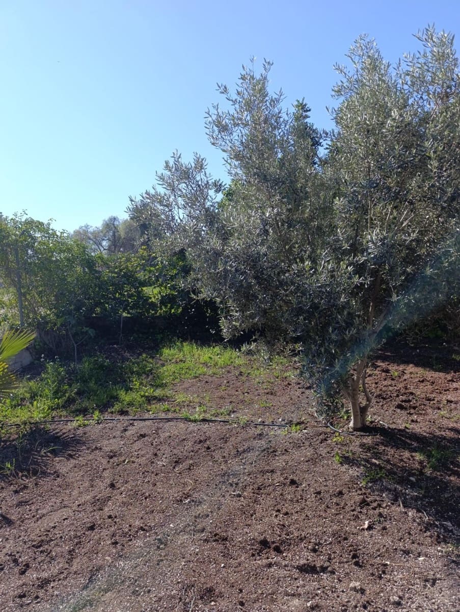 5 bedroom Finca/Country House for sale in La Matanza with pool - € 200,000 (Ref: 9778156)