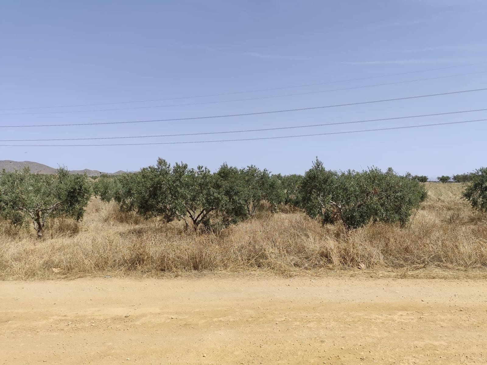4 bedroom Finca/Country House for sale in La Magdalena with garage - € 295,000 (Ref: 9929422)