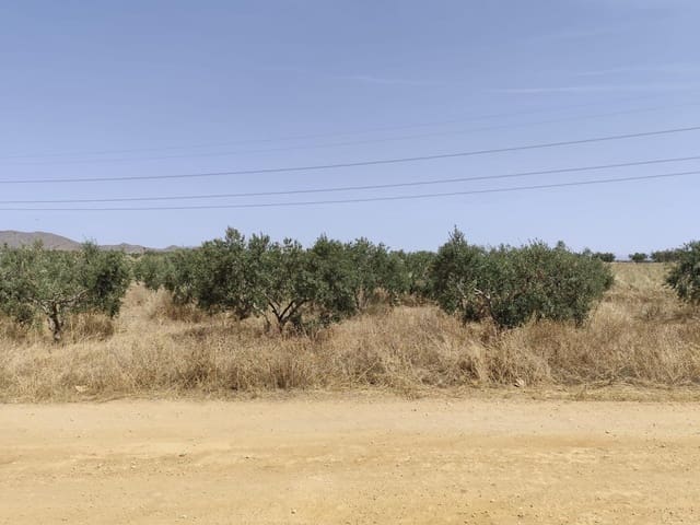 4 sovrum Finca/Hus på landet till salu i La Magdalena, Cartagena med garage - 295 000 € (Ref: 9929422)