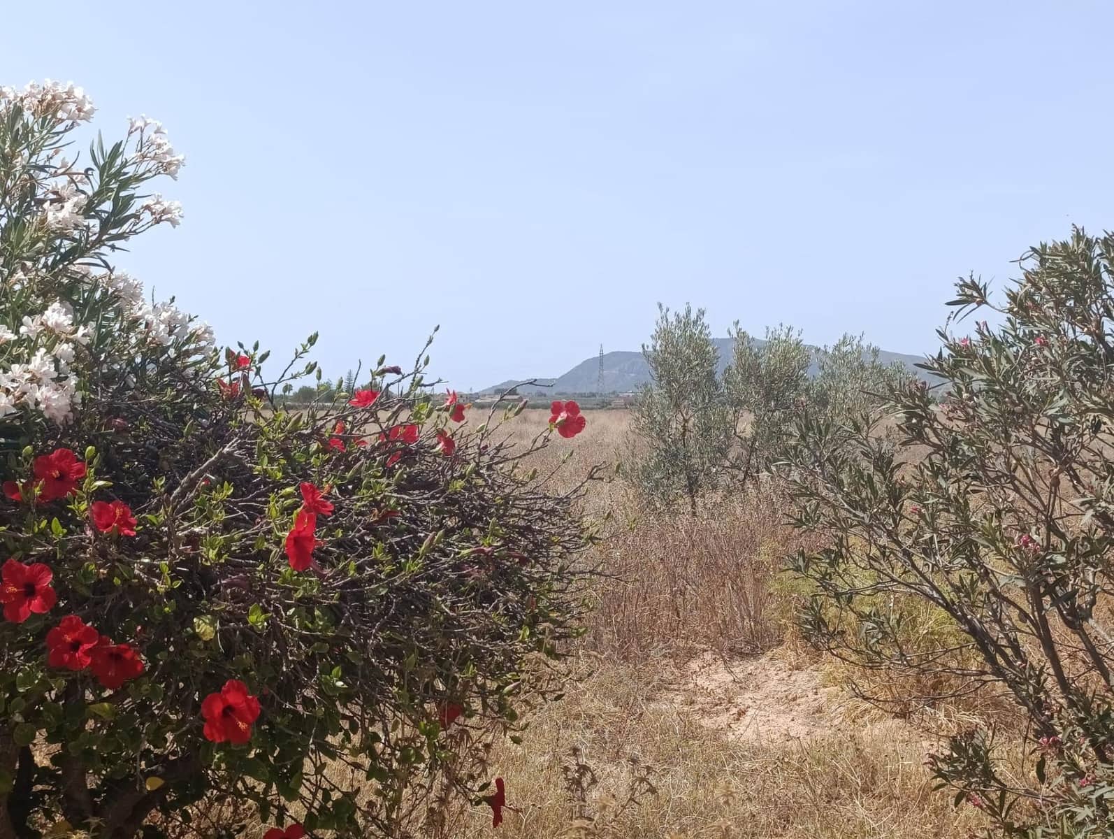 4 bedroom Finca/Country House for sale in La Magdalena with garage - € 295,000 (Ref: 9929422)