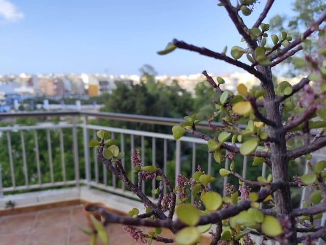 1 chambre Penthouse à vendre à Playa del Acequión, Torrevieja - 142 000 € (Ref: 9952652)