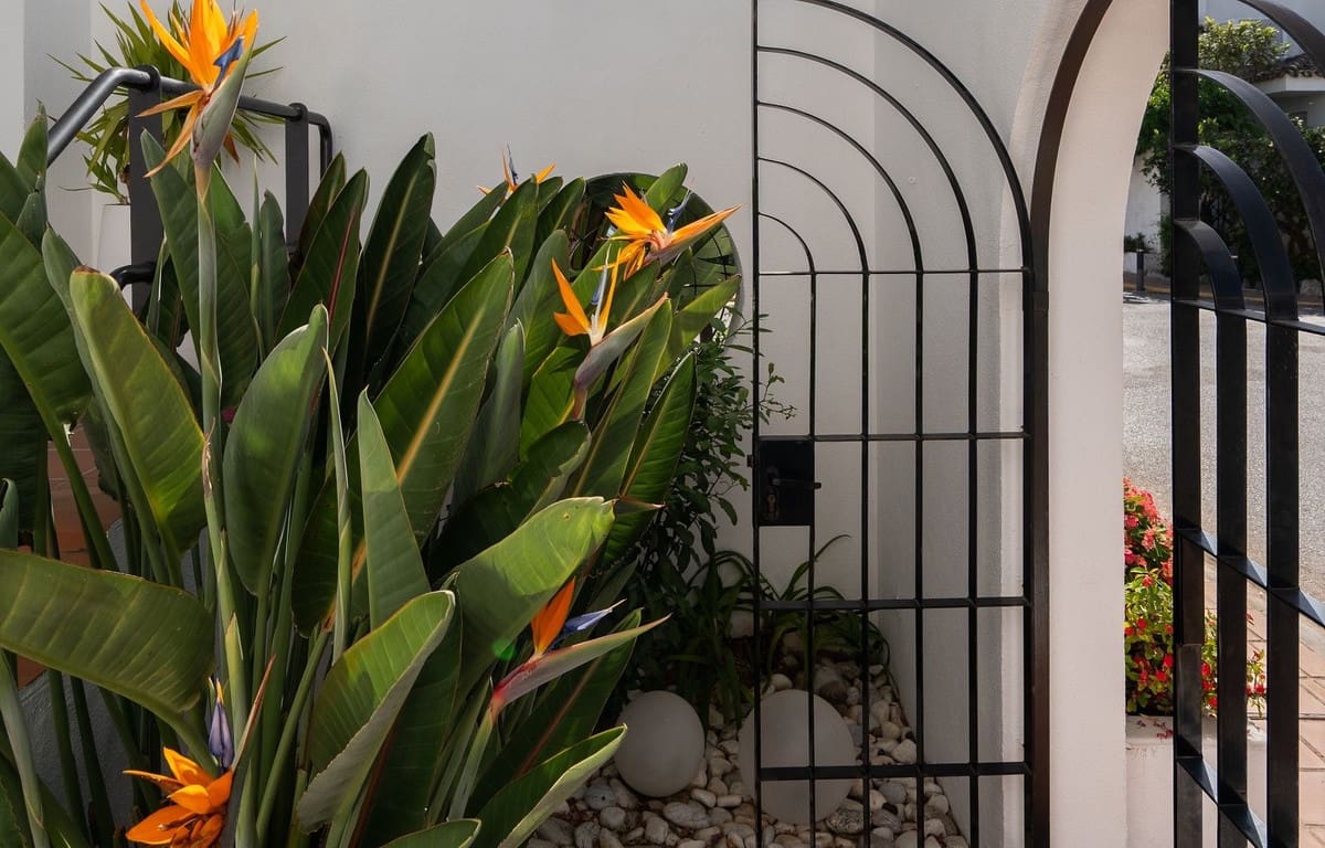3 chambre Maison de Ville à vendre à Costalita avec piscine garage - 680 000 € (Ref: 10059535)