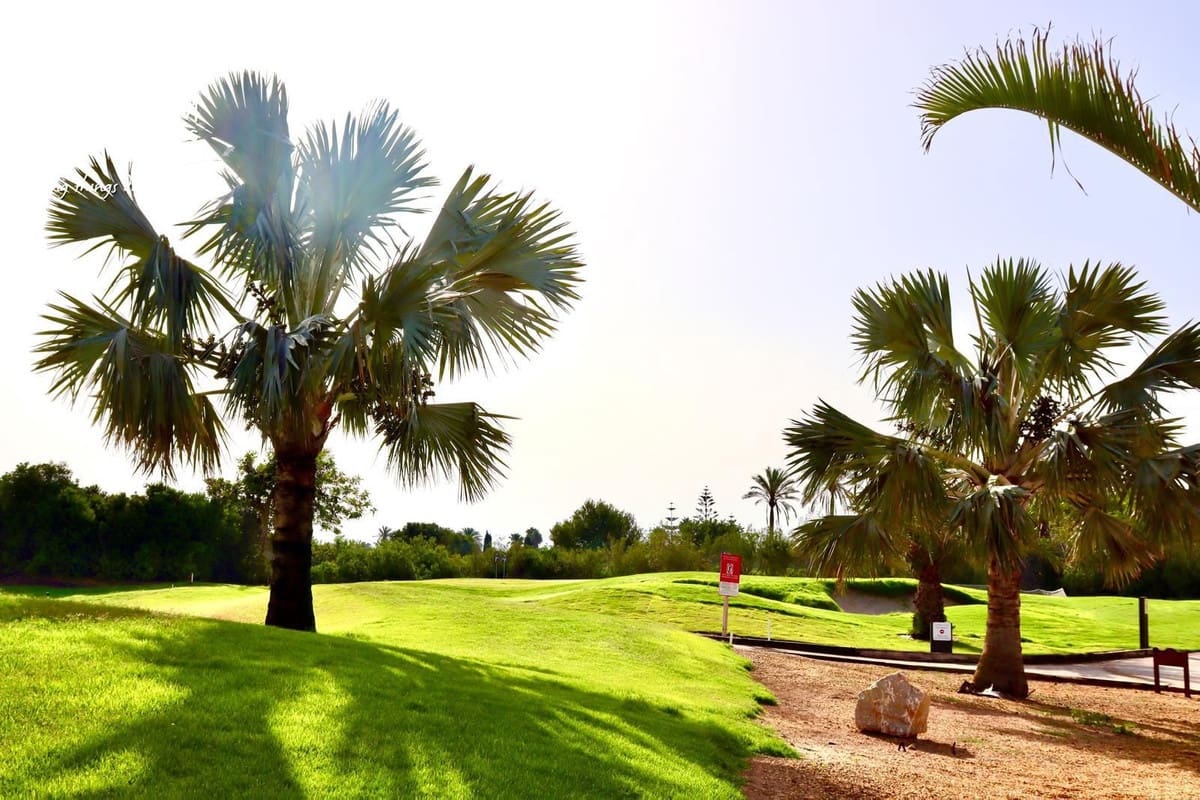 3 quarto Casa em Banda para venda em Roda com piscina garagem - 244 950 € (Ref: 8814826)