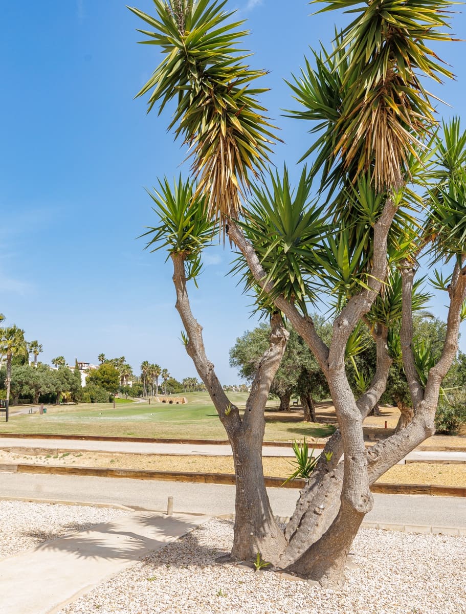 2 soveværelse Lejlighed til salg i Roda med swimmingpool garage - € 214.950 (Ref: 9778400)