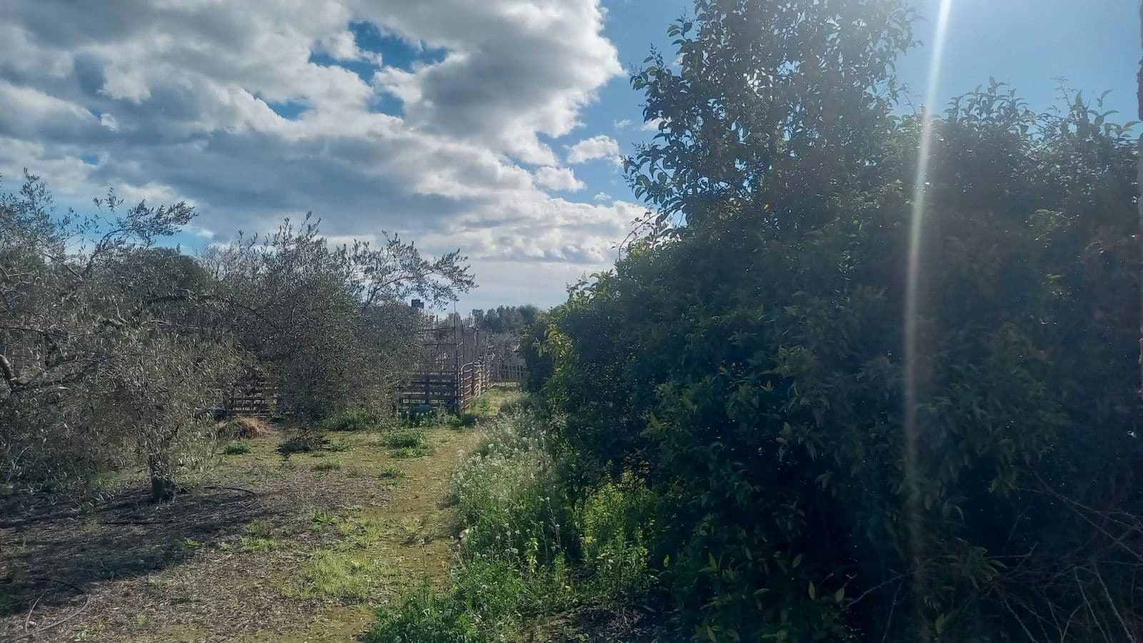 4 sovrum Finca/Hus på landet till salu i Castello de la Plana med pool garage - 95 000 € (Ref: 9272920)