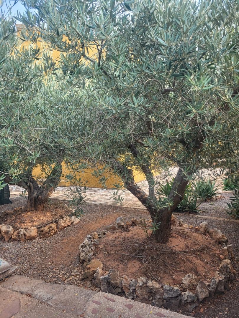 4 soveværelse Villa til salg i Castello de la Plana med swimmingpool garage - € 205.000 (Ref: 9272931)