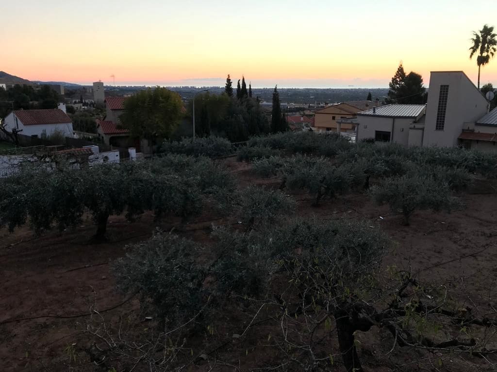 Bouwgrond te koop in Castello de la Plana - € 235.000 (Ref: 9272932)