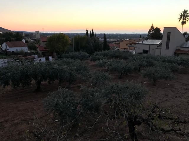 Bouwgrond te koop in Norte, Castelló de la Plana - € 235.000 (Ref: 9272932)