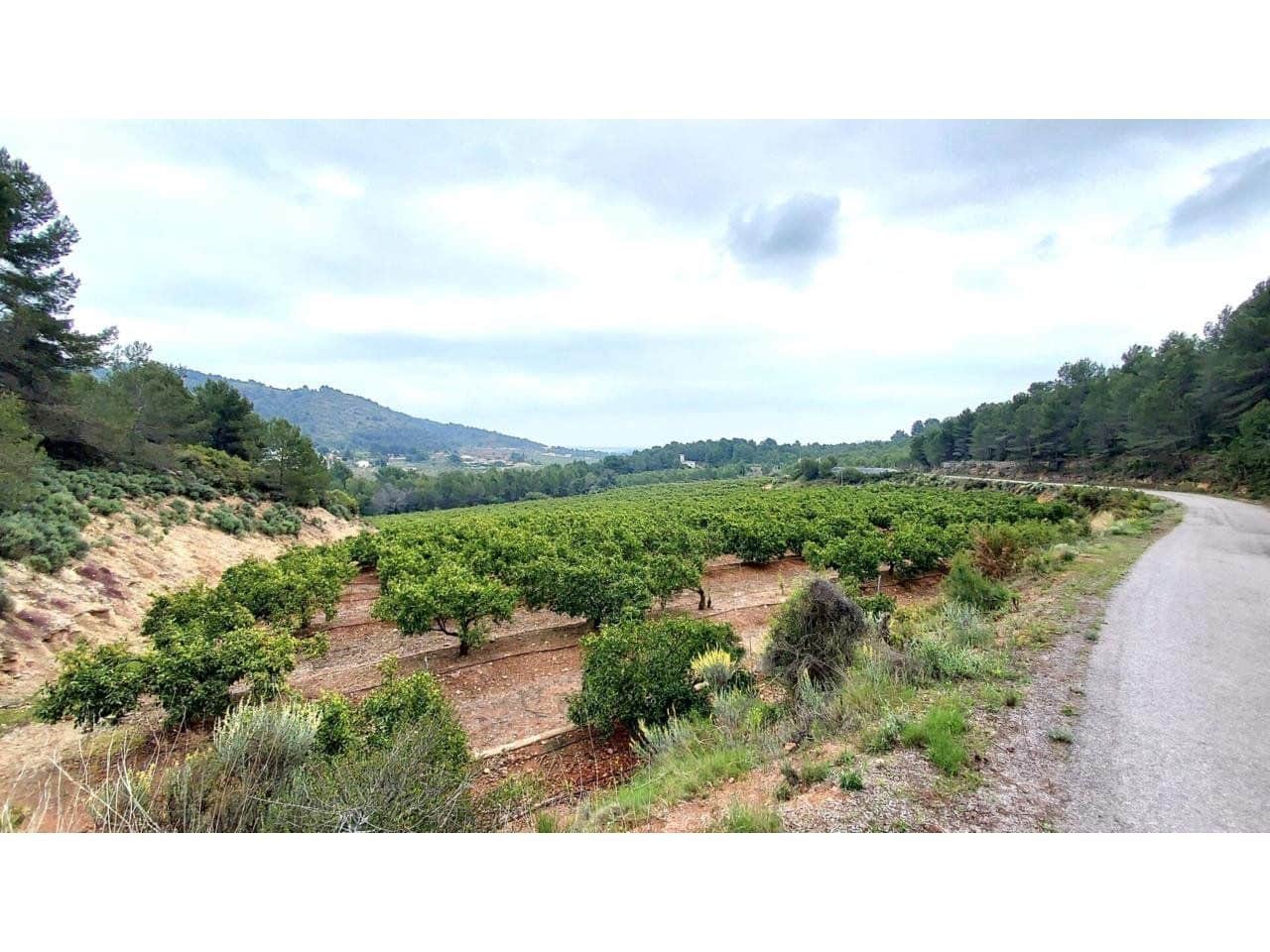 Byggegrund til salg i Onda - € 90.000 (Ref: 8875884)