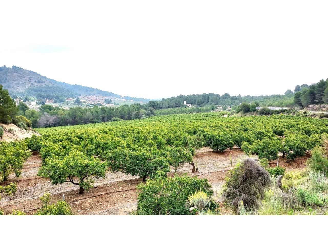 Byggegrund til salg i Onda - € 90.000 (Ref: 8875884)