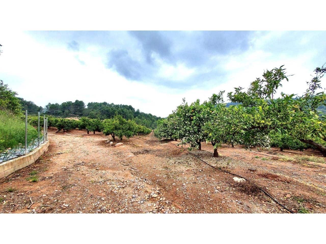 Byggegrund til salg i Onda - € 90.000 (Ref: 8875884)