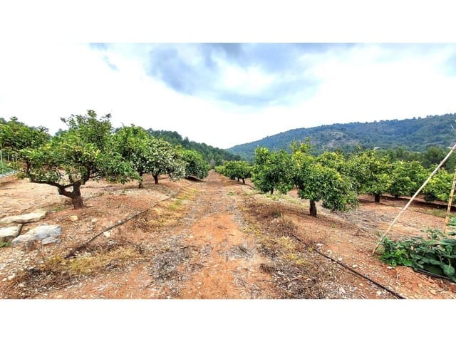 Tomt till salu i Onda - 90 000 € (Ref: 8875884)