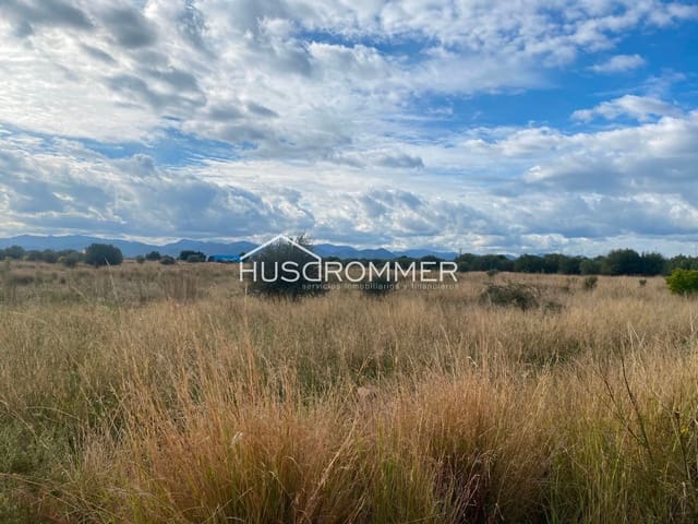 Tomt till salu i Onda - 1 608 000 € (Ref: 8888230)