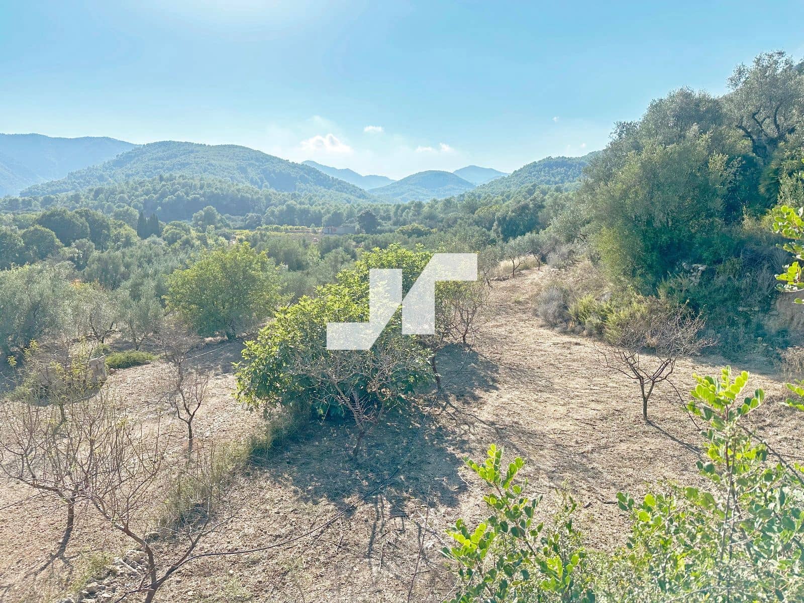 Bouwgrond te koop in Artana - € 45.000 (Ref: 9279576)