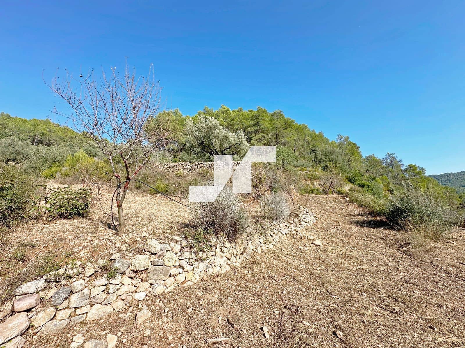 Bouwgrond te koop in Artana - € 45.000 (Ref: 9279576)