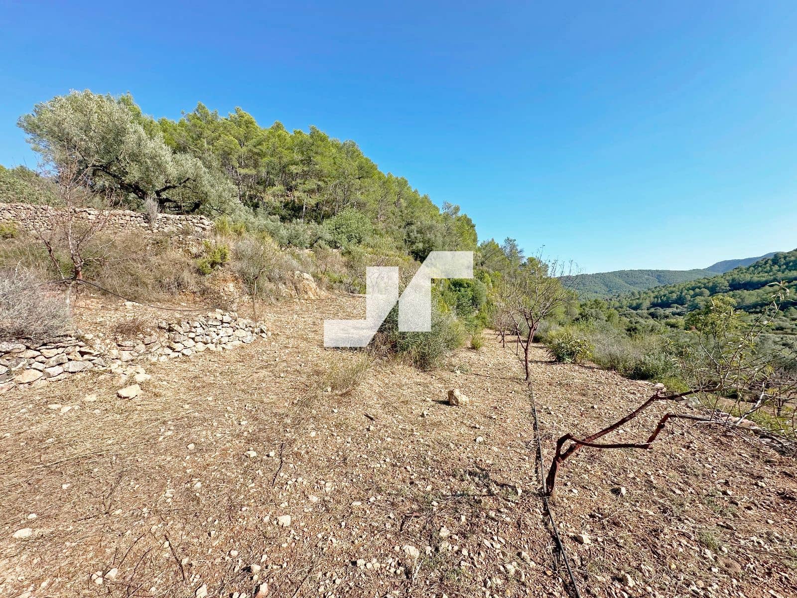 Bouwgrond te koop in Artana - € 45.000 (Ref: 9279576)