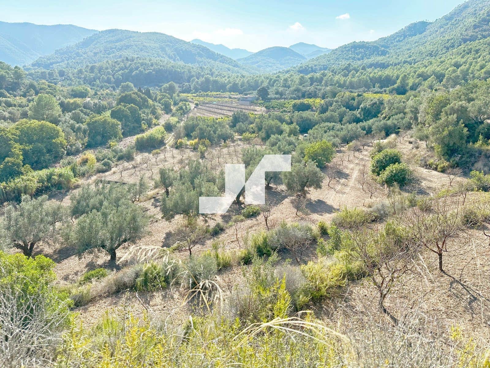 Bouwgrond te koop in Artana - € 45.000 (Ref: 9279576)