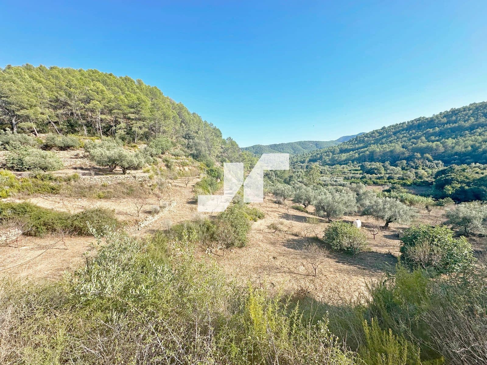 Bouwgrond te koop in Artana - € 45.000 (Ref: 9279576)