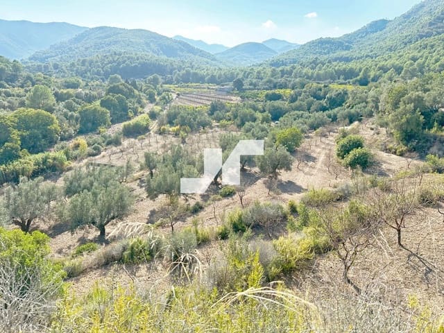 Building Plot for sale in Artana - € 45,000 (Ref: 9279576)