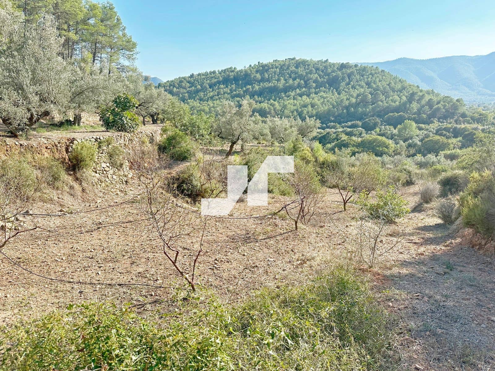 Bouwgrond te koop in Artana - € 45.000 (Ref: 9279576)