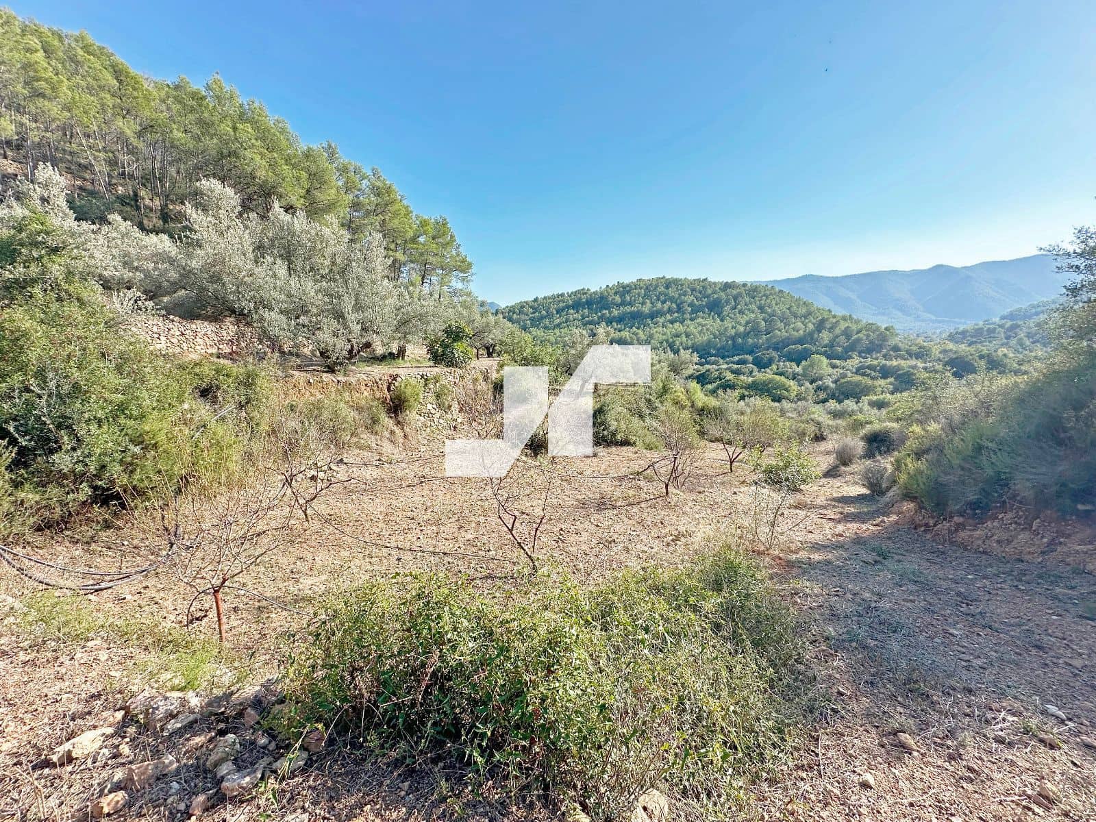 Bouwgrond te koop in Artana - € 45.000 (Ref: 9279576)