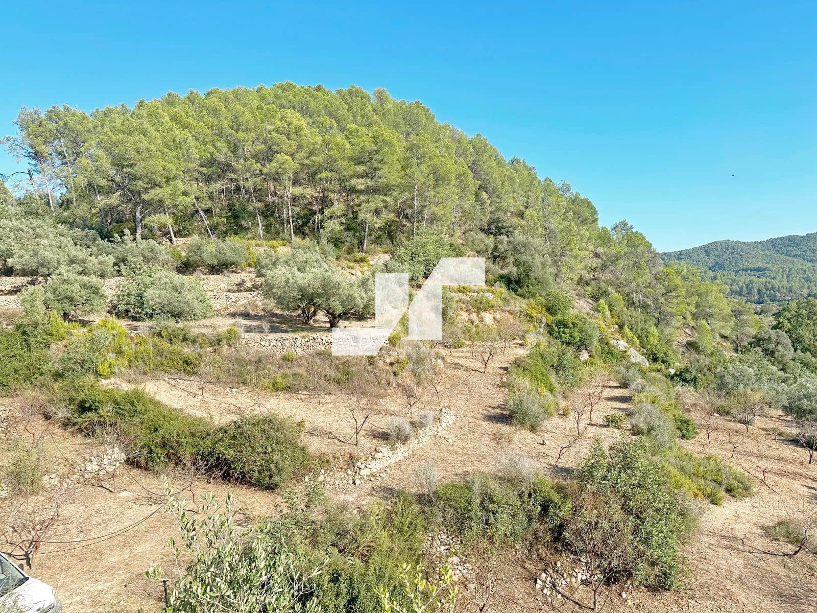 Bouwgrond te koop in Artana - € 45.000 (Ref: 9279576)