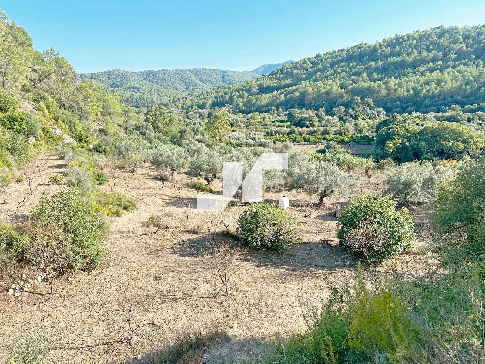 Bouwgrond te koop in Artana - € 45.000 (Ref: 9279576)