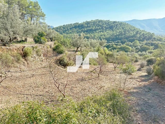 Building Plot for sale in Artana - € 45,000 (Ref: 9279576)