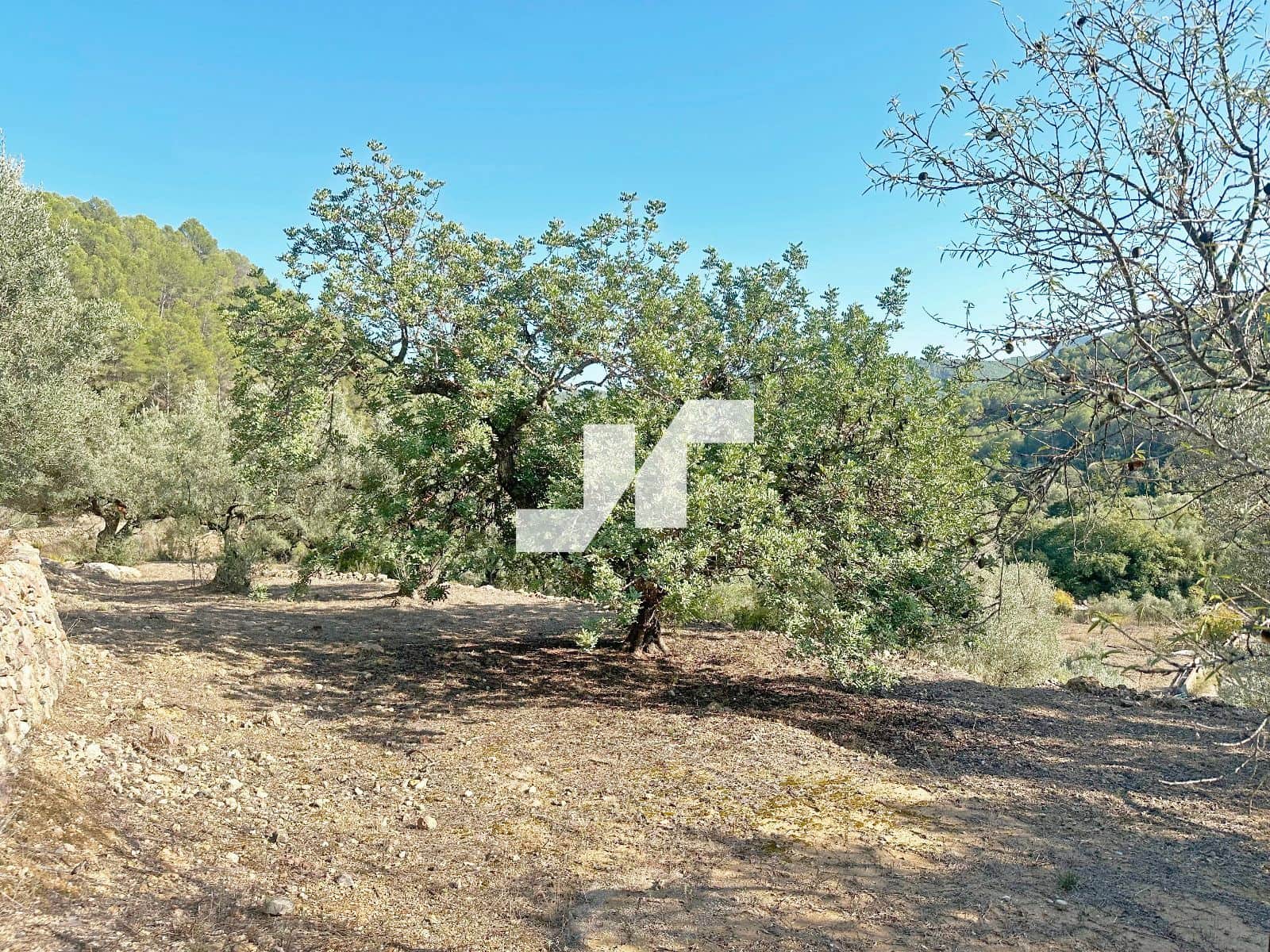 Bouwgrond te koop in Artana - € 45.000 (Ref: 9279576)