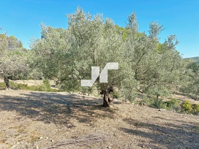 Building Plot for sale in Artana - € 45,000 (Ref: 9279576)