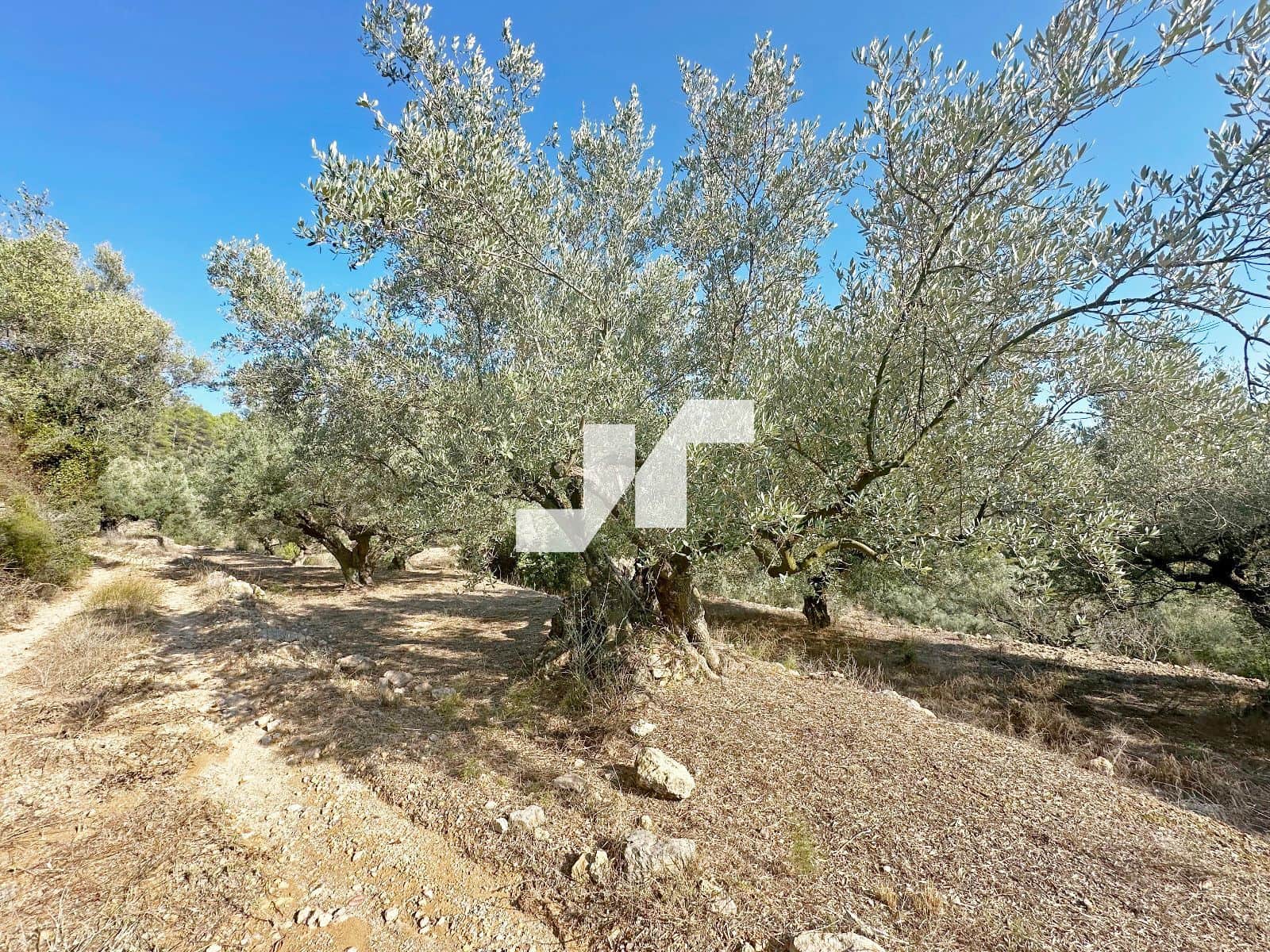 Bouwgrond te koop in Artana - € 45.000 (Ref: 9279576)