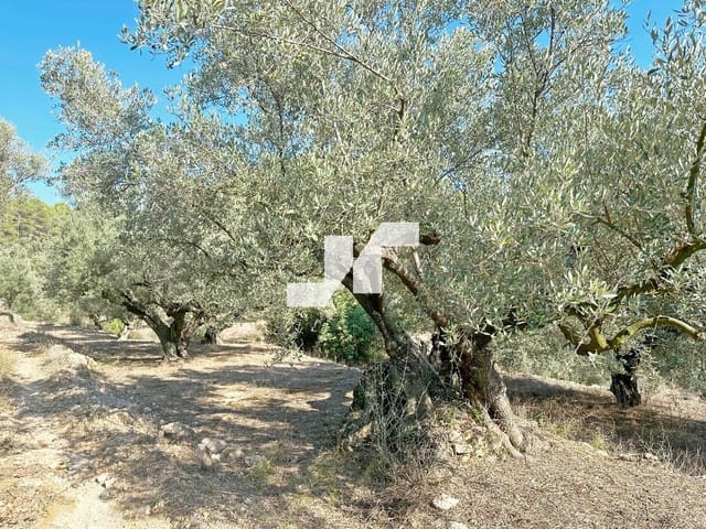 Building Plot for sale in Artana - € 45,000 (Ref: 9279576)