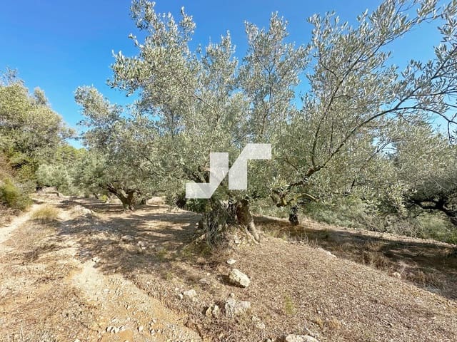 Building Plot for sale in Artana - € 45,000 (Ref: 9279576)