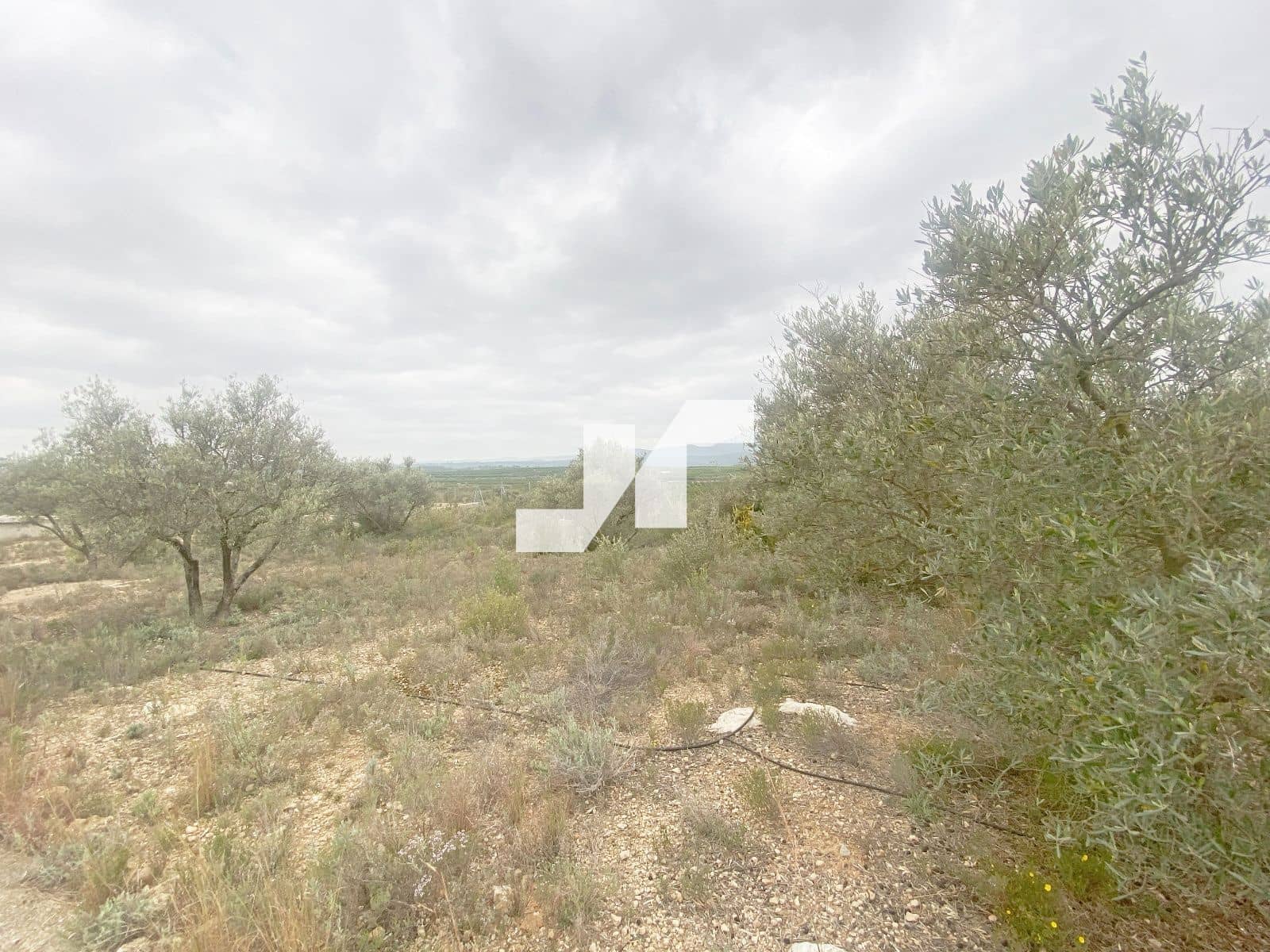 Chalet de 5 habitaciones en Vilamarxant / Villamarchante en venta con piscina - 250.000 € (Ref: 9650575)