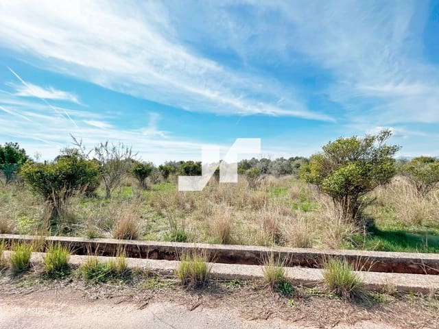 Bauplatz zu verkaufen in Vila-real - 60.000 € (Ref: 9676640)