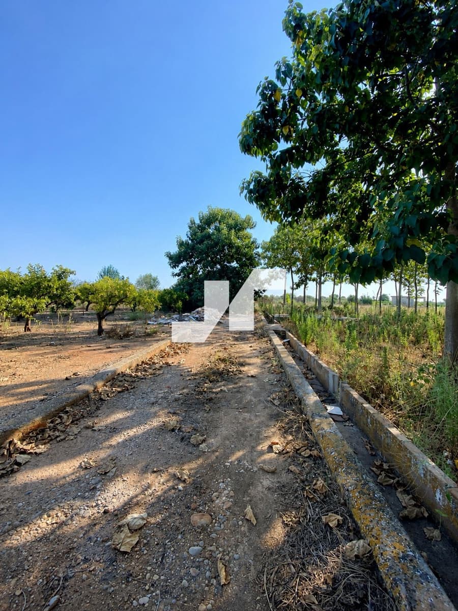 Byggegrund til salg i Vila-real - € 7.400 (Ref: 9942863)
