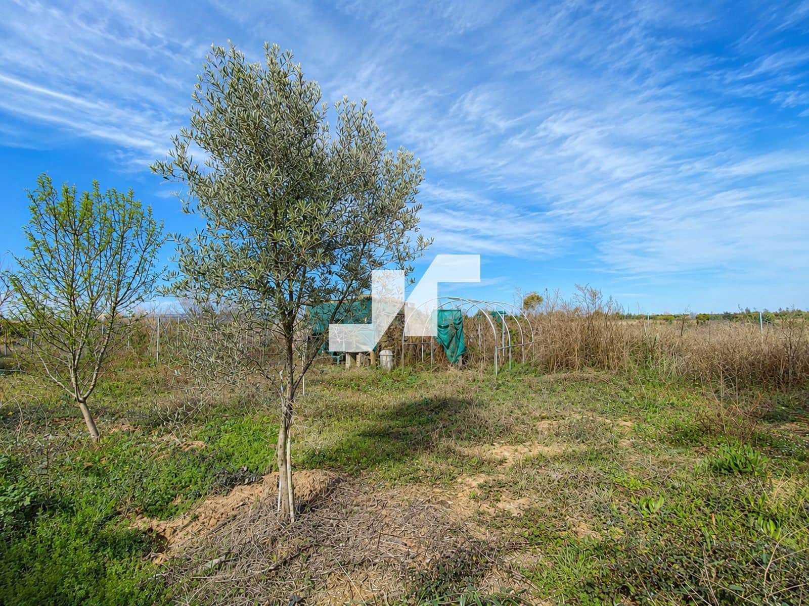 Byggegrund til salg i Vila-real - € 7.400 (Ref: 9942863)