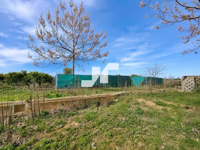 Byggegrund til salg i Vila-real - € 7.400 (Ref: 9942863)