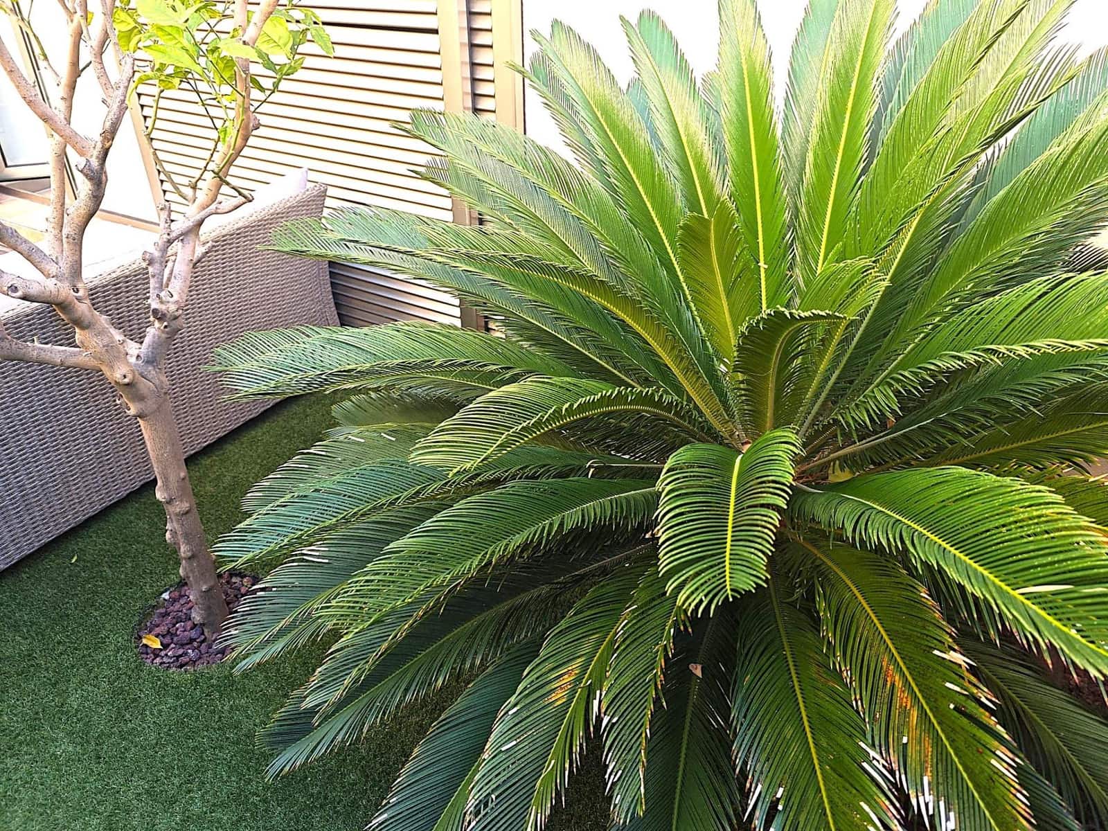 3 chambre Appartement à vendre à Orihuela Costa avec piscine garage - 375 000 € (Ref: 9596392)