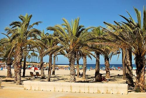 2 slaapkamer Penthouse te koop in Denia met zwembad garage - € 360.000 (Ref: 9735786)