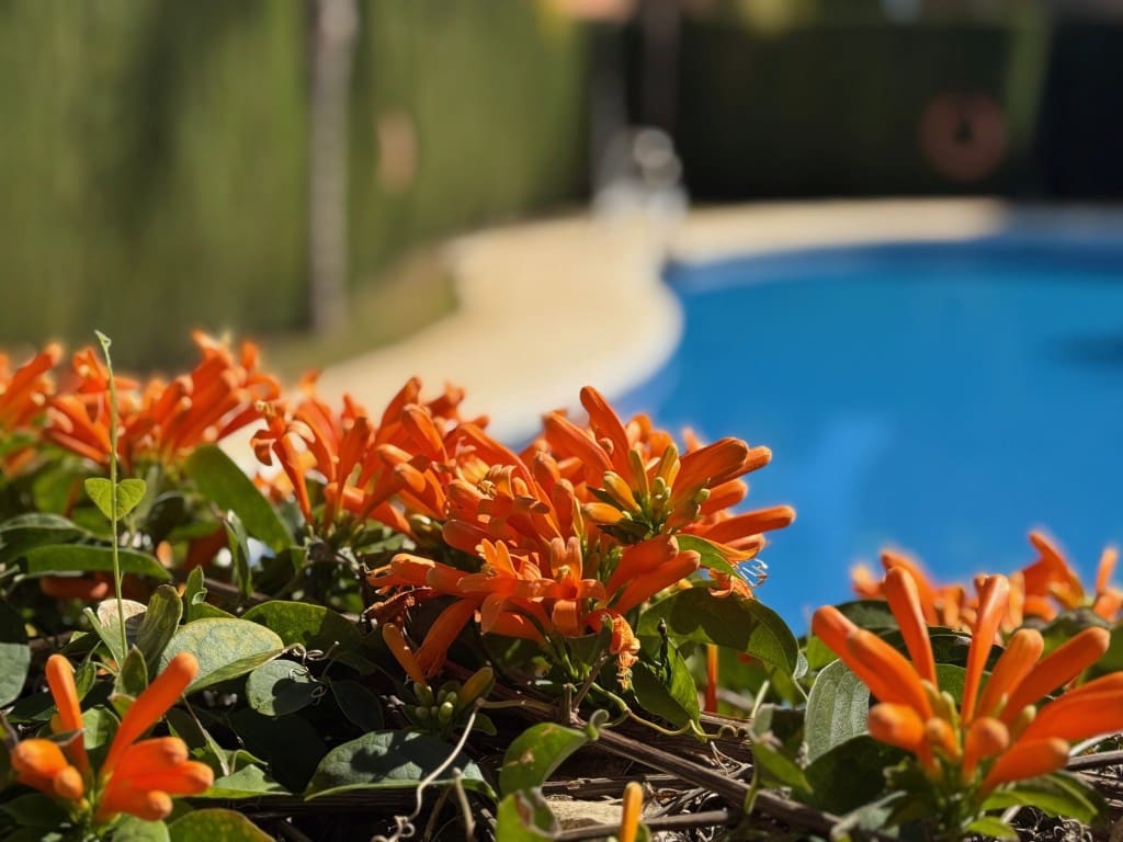 4 quarto Casa em Banda para venda em Estepona com piscina garagem - 665 000 € (Ref: 9633725)