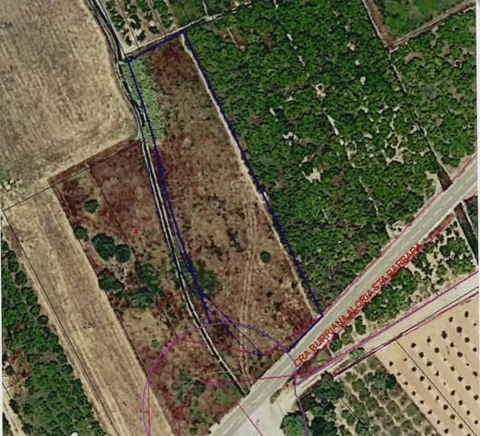 Grond te koop in Burriana / Borriana - € 15.000 (Ref: 10100682)