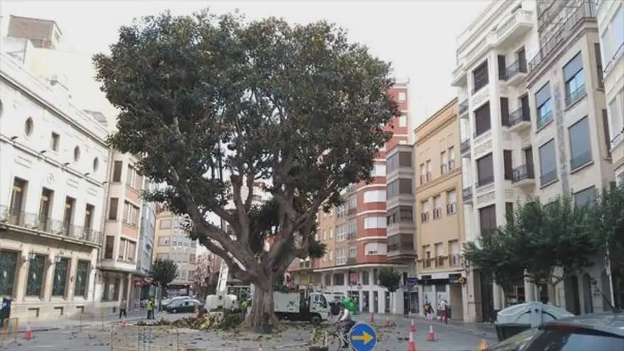 Commerciale da affittare in Burriana / Borriana - 1.000 € (Rif: 10100690)