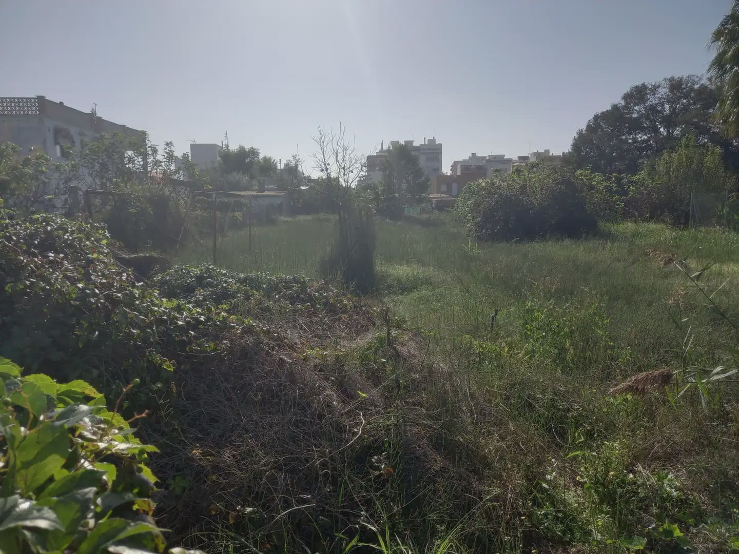 Terreno para Construção para venda em Burriana / Borriana - 220 000 € (Ref: 10100716)