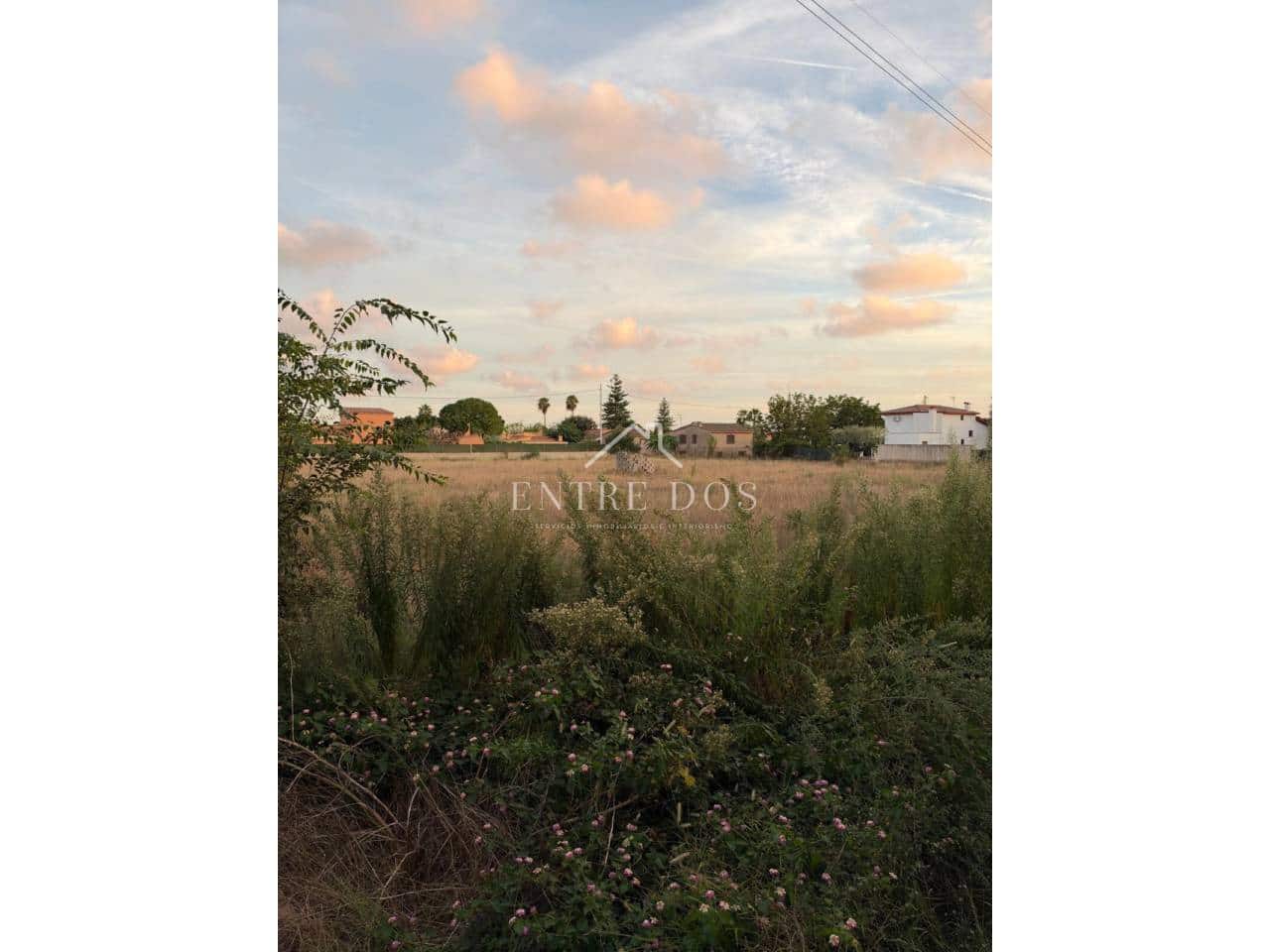 Undeveloped Land for sale in Vila-real - € 36,000 (Ref: 10158836)