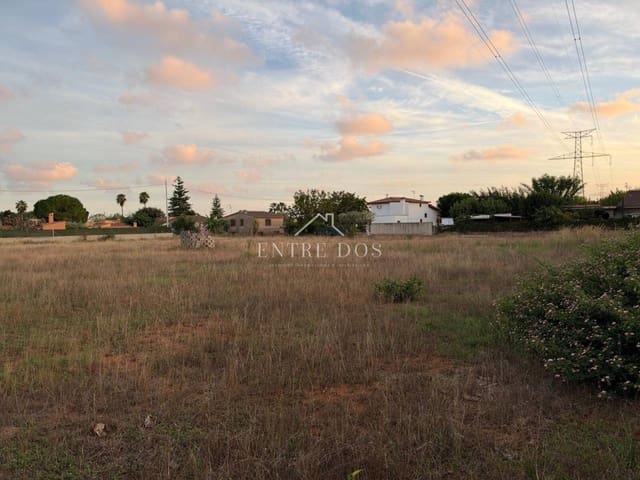 Grunde uden byggetilladelser til salg i Vila-real - € 36.000 (Ref: 10158836)