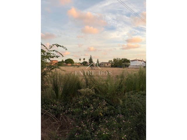 Grunde uden byggetilladelser til salg i Vila-real - € 36.000 (Ref: 10158836)