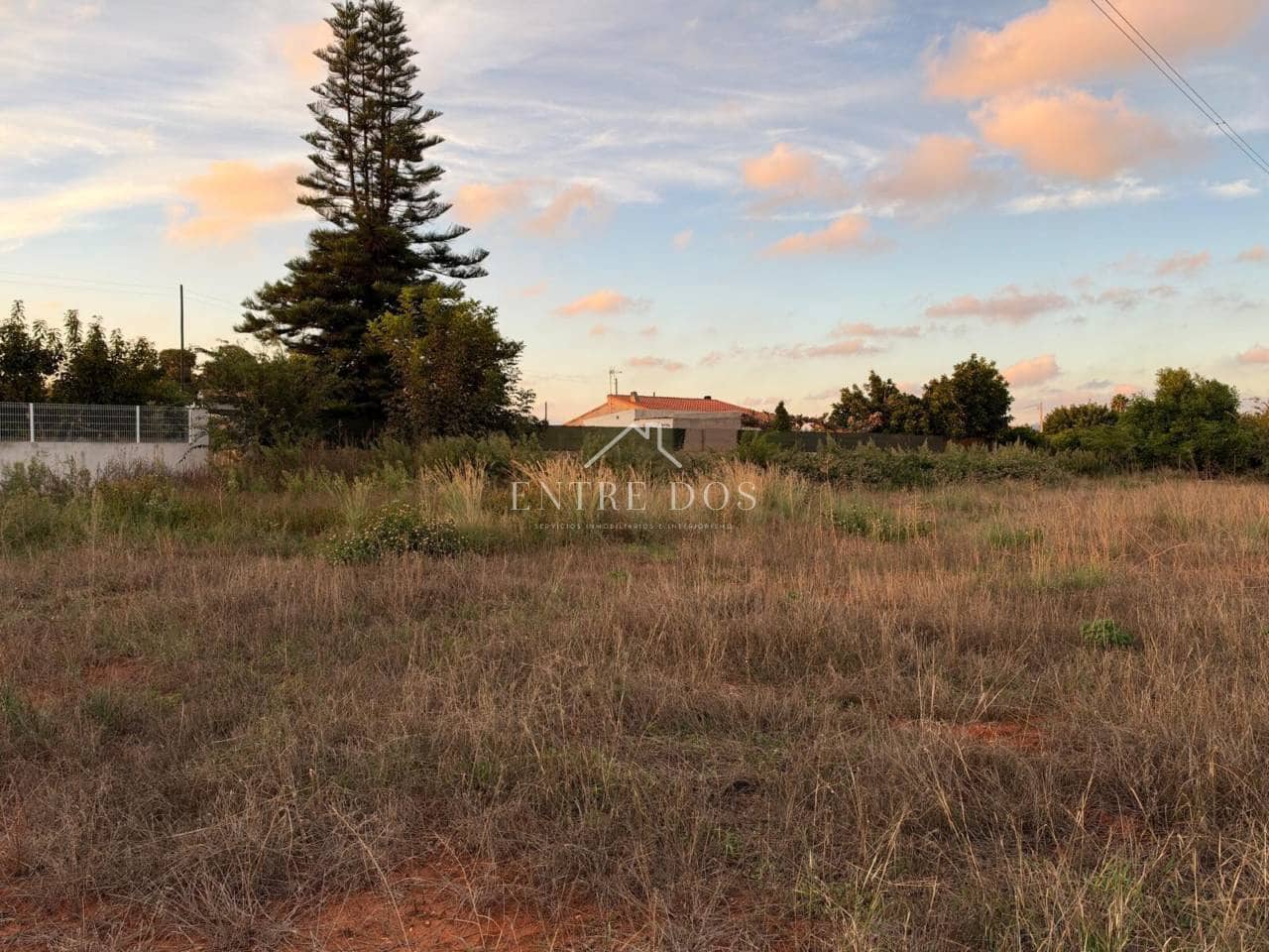 Undeveloped Land for sale in Vila-real - € 36,000 (Ref: 10158836)