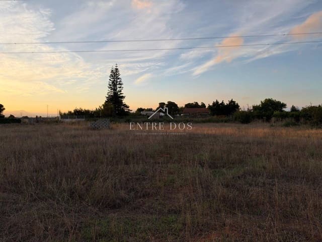 Grunde uden byggetilladelser til salg i Vila-real - € 36.000 (Ref: 10158836)